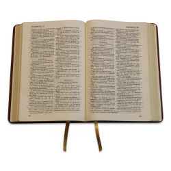 La Sainte Bible - Kunstleder 2-farbig braun