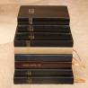 La Sainte Bible - Kunstleder schwarz - französische Bibel