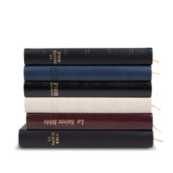 La Sainte Bible - Leder schwarz mit Rand und Titel