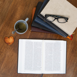 Bible Darby en cuir brun retourné édition de Rolle 2025