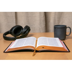 Bible Darby en cuir brun retourné édition de Rolle 2025
