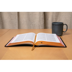 La Sainte Bible - Leder braun mit Rand und Titel 2026