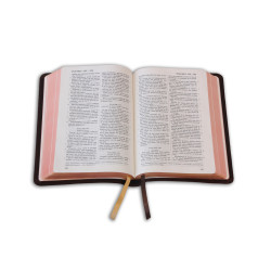 La Sainte Bible - Leder braun mit Rand und Titel 2026