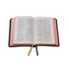 La Sainte Bible - Leder braun mit Rand und Titel 2026