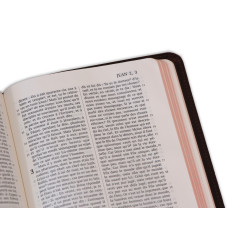 La Sainte Bible - Leder braun mit Rand und Titel 2026